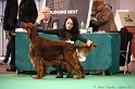 Crufts2011 846